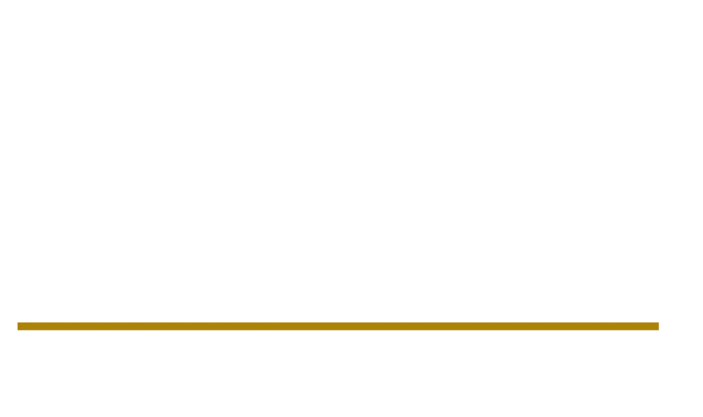 sdj logo